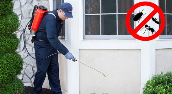 Tire Haşere İlaçlama böcek ilaçlama ve haşere kontrolü — ilaclama-tr.com